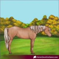 Horse Color:Brown Pearl and Silver Brown Pearl