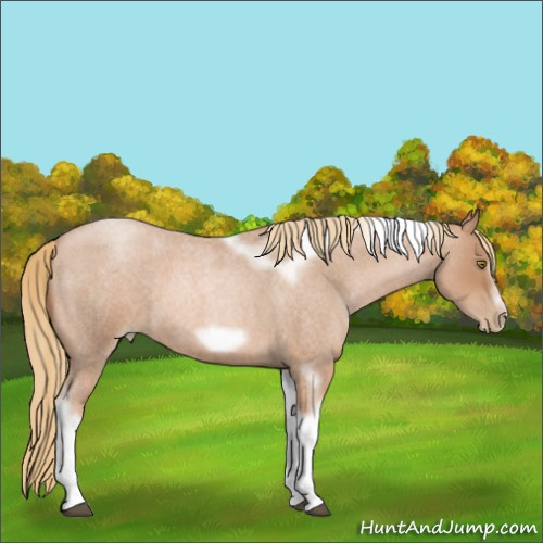 Horse Color:Red Roan Pearl Tobiano Frame 