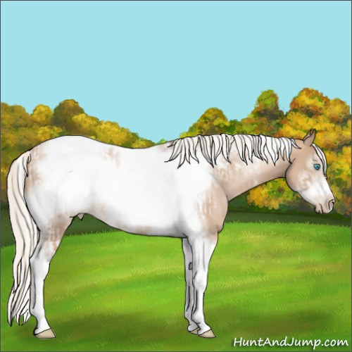Horse Color:Chocolate Palomino Pearl Tobiano Frame  and Chocolate Palomino Pearl Tobiano Frame 