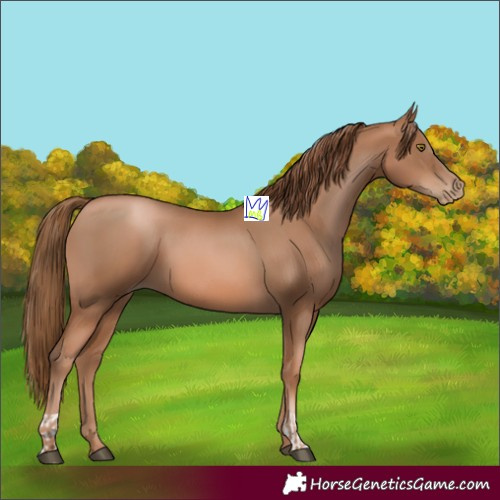 Horse Color:Liver Chestnut Pearl and Liver Chestnut Pearl