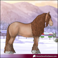 Horse Color:Bay Pearl  and Bay Pearl 