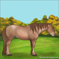 Horse Color:Liver Chestnut Pearl  and Liver Chestnut Pearl 