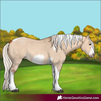 Horse Color:Silver Bay Dun Sabino Tobiano Frame Rabicano 