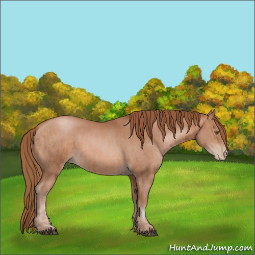 Horse Color:Liver Chestnut Pearl  and Bay Pearl 
