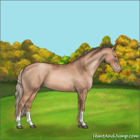 Horse Color:Liver Chestnut Pearl  and Chestnut Pearl 