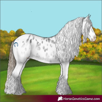 Horse Color:White Spotted Smoky Black Tobiano Appaloosa 