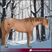 Horse Color:Brown Pearl  and Brown Pearl 
