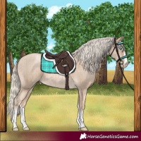 Horse Color:Chocolate Palomino Pearl and Chocolate Palomino Pearl