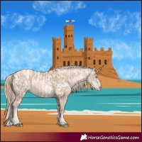 Horse Color:Liver Red Dun Pearl  and Liver Red Dun Pearl Blanket 