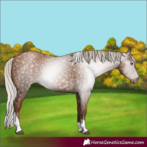 Horse Color:Gray Silver Black Pearl Tobiano Varnish