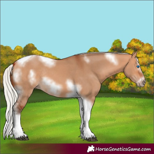 Horse Color:Silver Bay Dun Sabino Splash Tobiano Frame Rabicano 