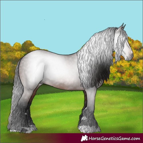 Horse Color:Gray Bay 