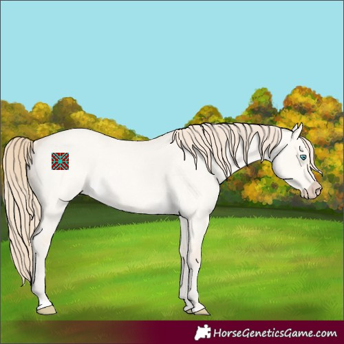 Horse Color:Perlino Roan Dun 