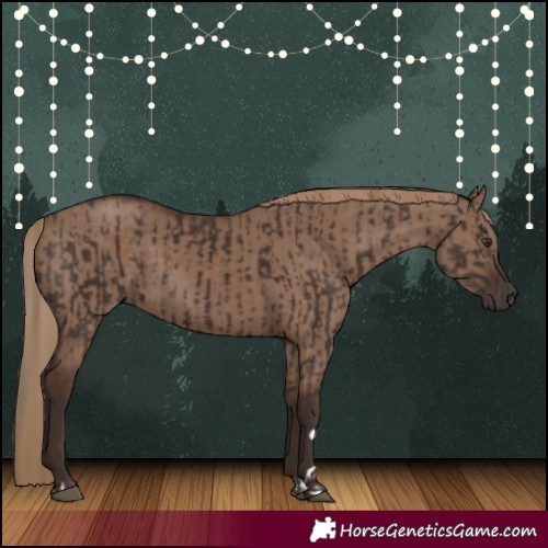 Horse Color:Liver Chestnut  and Liver Red Dun 