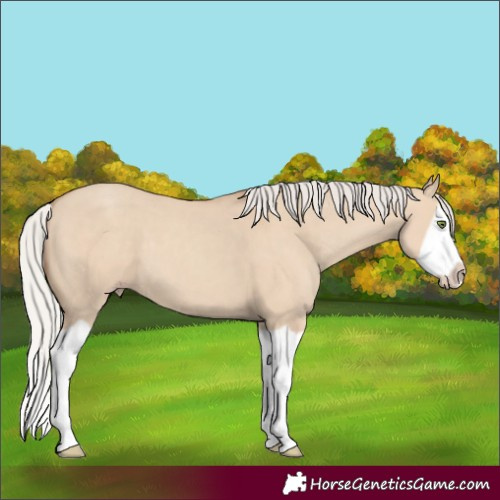 Horse Color:Silver Classic Champagne Dun Splash Frame