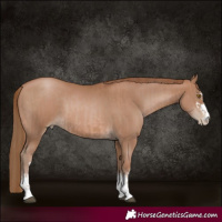 Horse Color:Brown Pearl and Black Pearl