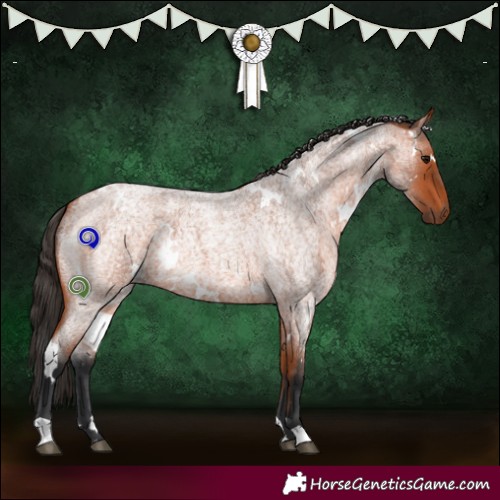 Horse Color:White Spotted Bay Roan 