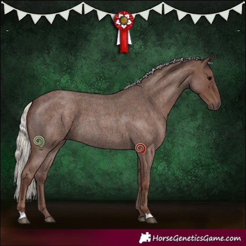 Horse Color:Silver Blue Roan 