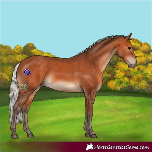 Horse Color:Silver Bay 