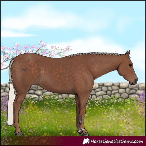 Horse Color:Silver Black 