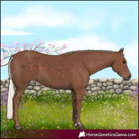 Horse Color:Silver Black 