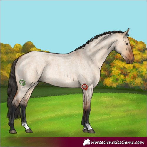 Horse Color:Bay Roan Dun Rabicano 