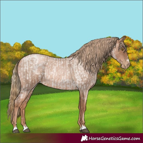 Horse Color:Liver Red Roan Pearl  and Liver Red Roan Pearl 