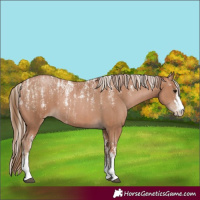 Horse Color:Powder White Black Pearl  and Powder White Silver Black Pearl 