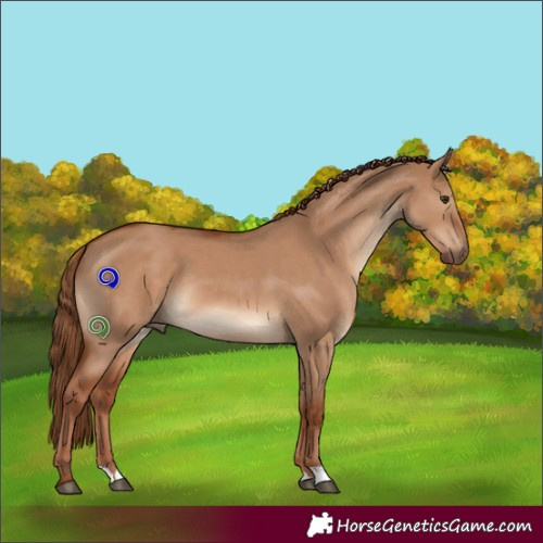 Horse Color:Red Dun 