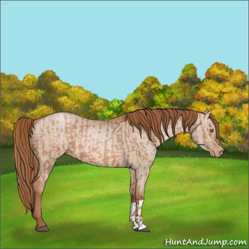Horse Color:Brown Pearl and Brown Pearl Dun