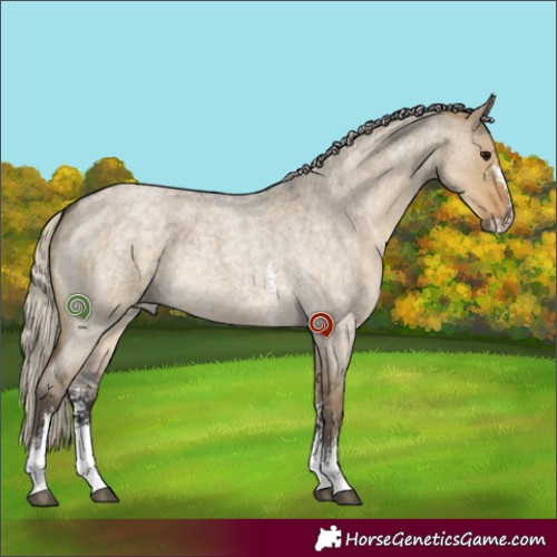 Horse Color:Silver Smoky Grullo Roan Sabino 