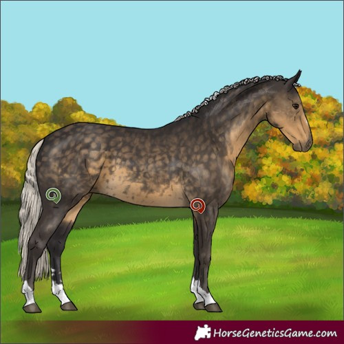 Horse Color:Silver Smoky Black Tobiano 
