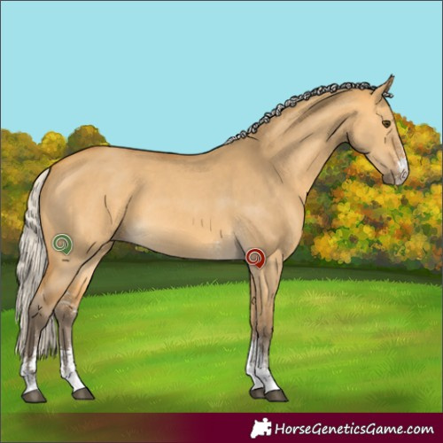 Horse Color:Silver Buckskin Dun Sabino 