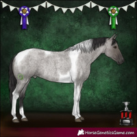 Horse Color:Smoky Grullo Roan Tobiano Rabicano 