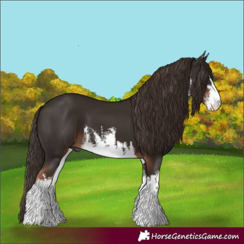 Horse Color:White Spotted Liver Chestnut 