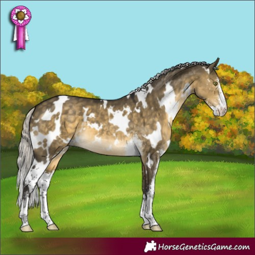 Horse Color:White Spotted Silver Buckskin Dun Mushroom Sabino