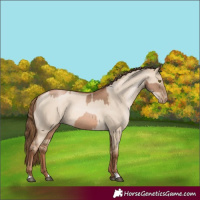 Horse Color:Liver Chestnut Pearl  and Liver Red Dun Pearl 