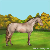Horse Color:Liver Chestnut Pearl  and Liver Red Dun Pearl 