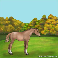 Horse Color:Liver Chestnut Pearl  and Liver Chestnut Pearl 