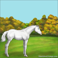 Horse Color:Silver Smoky Creme Dun Sabino Tobiano Frame 