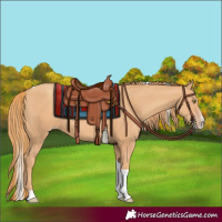 Horse Color:Gold Champagne Splash Tobiano 