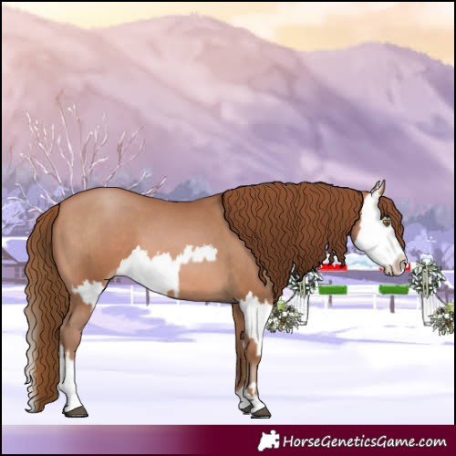 Horse Color:Brown Pearl  and Brown Pearl Splash 