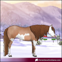 Horse Color:Brown Pearl  and Brown Pearl Splash 