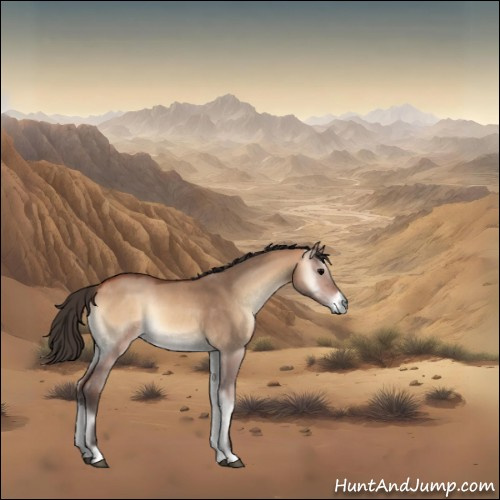 Horse Color:Bay Onyx 