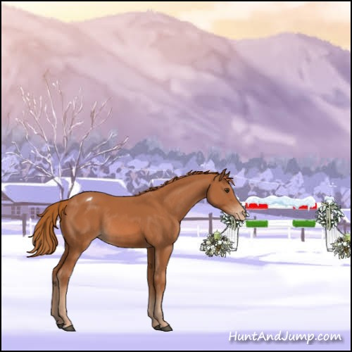 Horse Color:Chestnut Appaloosa Rabicano 