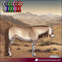 Horse Color:Red Dun Onyx