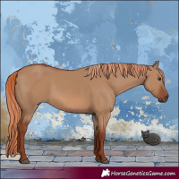 Horse Color:Red Dun 