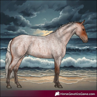 Horse Color:Silver Brown Roan 