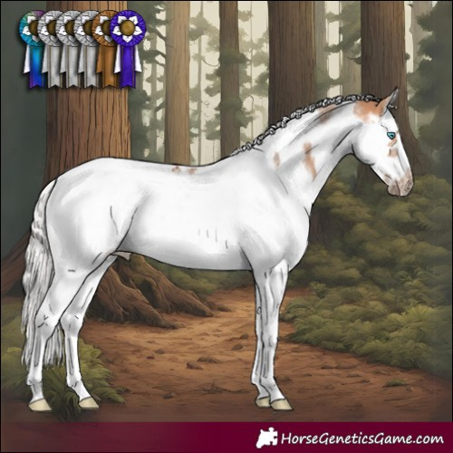 Horse Color:Silver Bay Dun Splash Tobiano Frame Rabicano