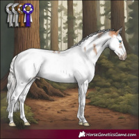 Horse Color:Silver Bay Dun Splash Tobiano Frame Rabicano 